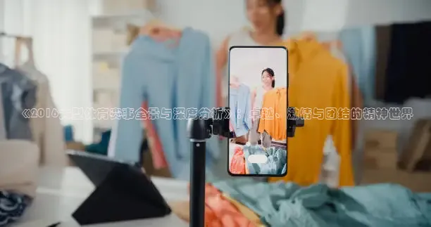 《2016大型体育赛事全景与深度分析》：卓越、激情与团结的精神世界